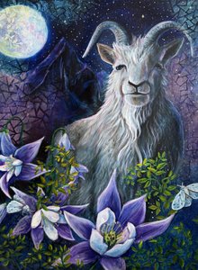Capricorn Season Goat Full Moon and Columbine Flowers