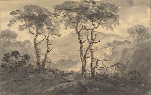 Fir Trees in a Mountain Landscape
