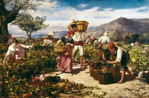The harvest