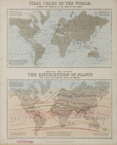 A Tidal Chart and a Map of the Distribution of Plants Across the World, c 1850 by John Pardon