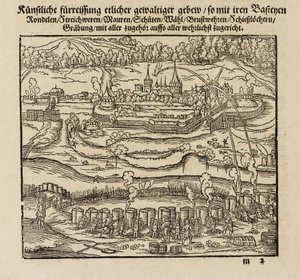 Attacking a fortified town using cannons
