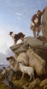R. Ansdell, The Lost Sheep / Painting, 1868 by Richard Ansdell
