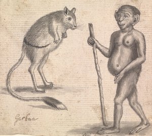 Monkeys (one of three on one mount) by Richard Brookes