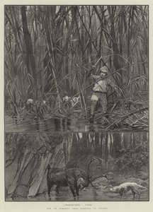 Elk or Sambhur Deer Hunting in Ceylon by Richard Caton Woodville junior