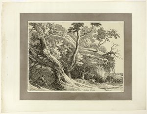 Landscape with Large Trees, from the first issue of Specimens of Polyautography by Richard Cooper II