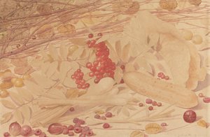 Still Life with Gooseberries, Raspberries, Red Currants, Spring Onions, a Gherkin and Foliage by Richard Dadd