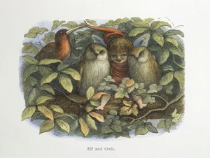 Elf and owls by Richard Doyle