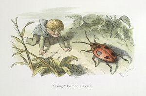 Saying Boo! to a Beetle by Richard Doyle