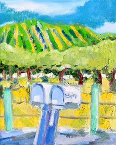Mailboxes and Vineyard, Napa, 2019