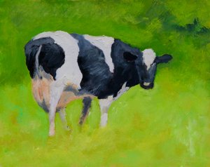 Black and White Cow