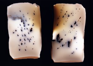 Untitled (double study) by Richard Green