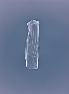 Untitled, 2001