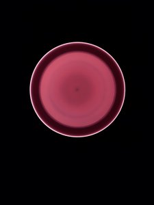 Untitled, 2004