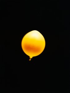 Untitled, 2006