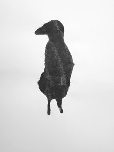Untitled, 2009
