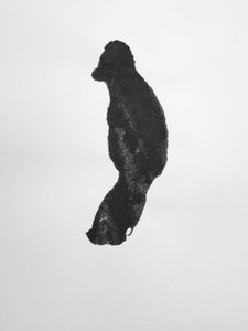 Untitled, 2009