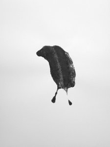 Untitled, 2009