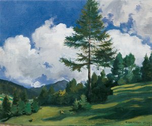Motif near Toblach