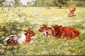 Calves in Springtime
