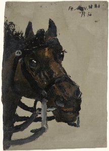 Horse Head