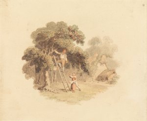 An Apple Tree Near a Cottage