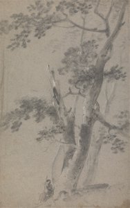 Shepherd Seated Under a Tree by Richard Wilson