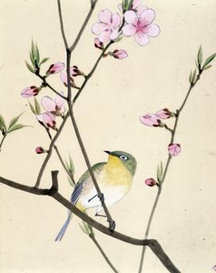 Bird - Japanese drawing by Riou Chim, late 19th century
