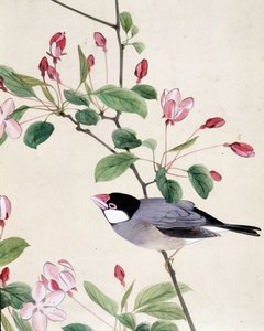 Bird - Japanese drawing by Riou Chim, late 19th century