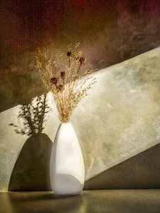 Dried Botanicals Still Life by Rob Ryan