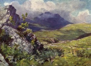 View of Moelwyn by Robert (after) Fowler