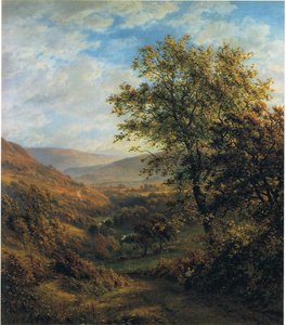 Summer landscape