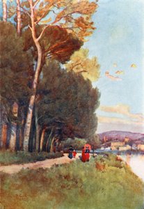A Favourite Walk Along the River in the Cascine
