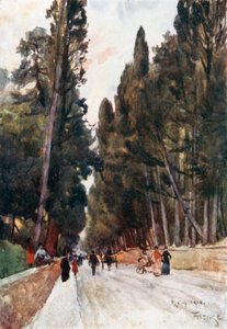 Looking Down the Cypress Avenue of Poggio Imperiale, on the Road to Arcetri