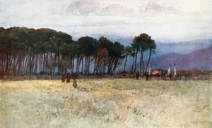 The Pine Woods and Carrara Mountains at Viareggio