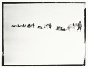 Ponies on the march, Great Ice Barrier, 2 December by Robert Falcon Scott
