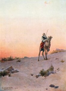 A Desert Scout