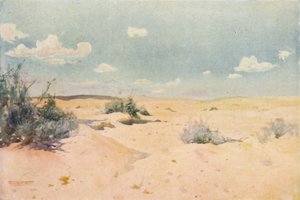 A Desert Study at Tel-El-Kebir