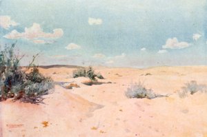 A Desert Study at Tel-el-Kebir