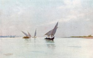 A Silvery Day on the Nile