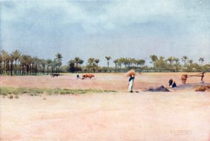 Esbet-el-Ekiad – Land of Goshen