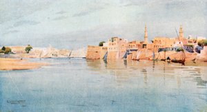Mit Gamr on the Lower Nile