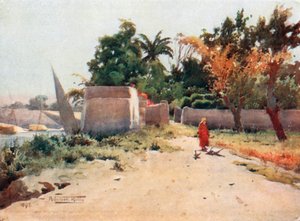 On the Island of Rhoda