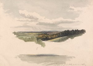 Between Netley Heath and Albury by Robert Hills