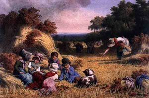 Harvest Field