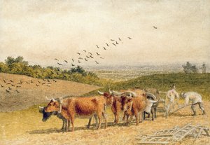 Oxen Ploughing a Downland Field by Robert Hills