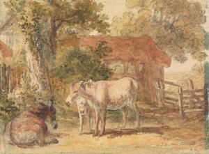 Three Donkeys by Robert Hills