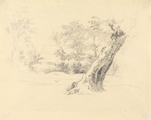 Tree Study by Robert Hills