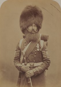 Colour-Sergeant Macgregor, Scotch Fusiliers Guards by Robert Howlett