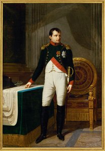 Emperor Napoleon I as Colonel of the Chasseurs à Cheval of the Guard by Robert Lefevre