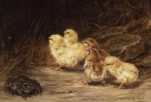 Chicks and Toad
